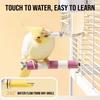 350ml Parrot Water Dispenser No Drip Bird Water Dispenser Bird Water Bottle  Parrot