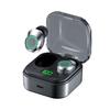 Weisheng WS01 Portable Wireless Earbuds