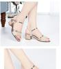 Summer sandals women's middle heel fashion 2025 summer new soft-soled versatile fairy style thick heel mother woman shoes