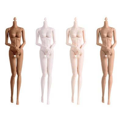 1/6 Collectible Figure Doll Body With Articulated  System And Natural Skin Tone Finish For Display Doll Customization