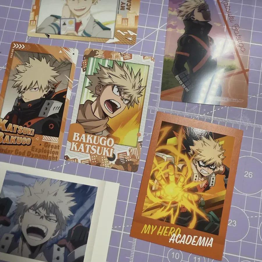 

Хироака Бакуго Товары