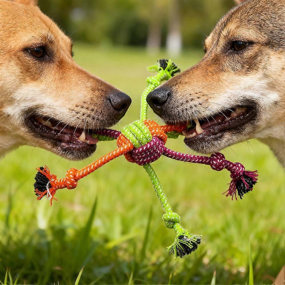 Pet Supplies Cat Dog Toy Cotton Rope Knot Toy Chew Toy Teeth Cleaning Small Dog Toy