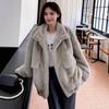 Hot Autumn and Winter Imitation Fur Artificial Fur Jacket Medium and Long Mink Clothes