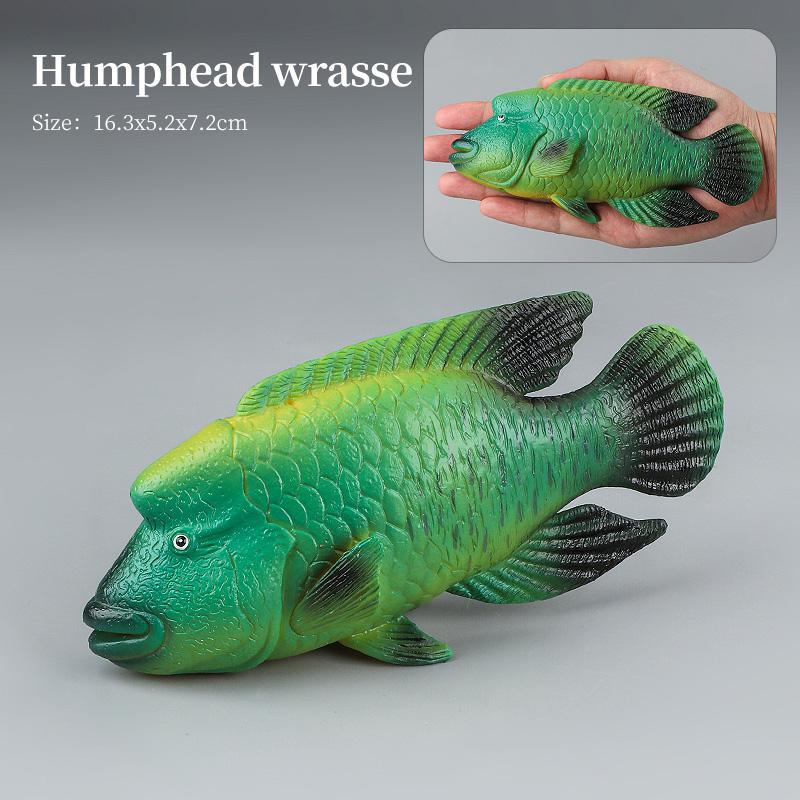 Set di Action Figure Modello Animali Marini - Pesci Oceanici Tonno Pesce Vela Persico Cernia Salmone PVC Giocattolo Educativo per Bambini