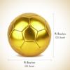 Linkidea Size 5 Gold Color Soccer Ball, Official Match Size Golden Soccer Ball, Gift Idea for Freestyle Soccer and Juggling