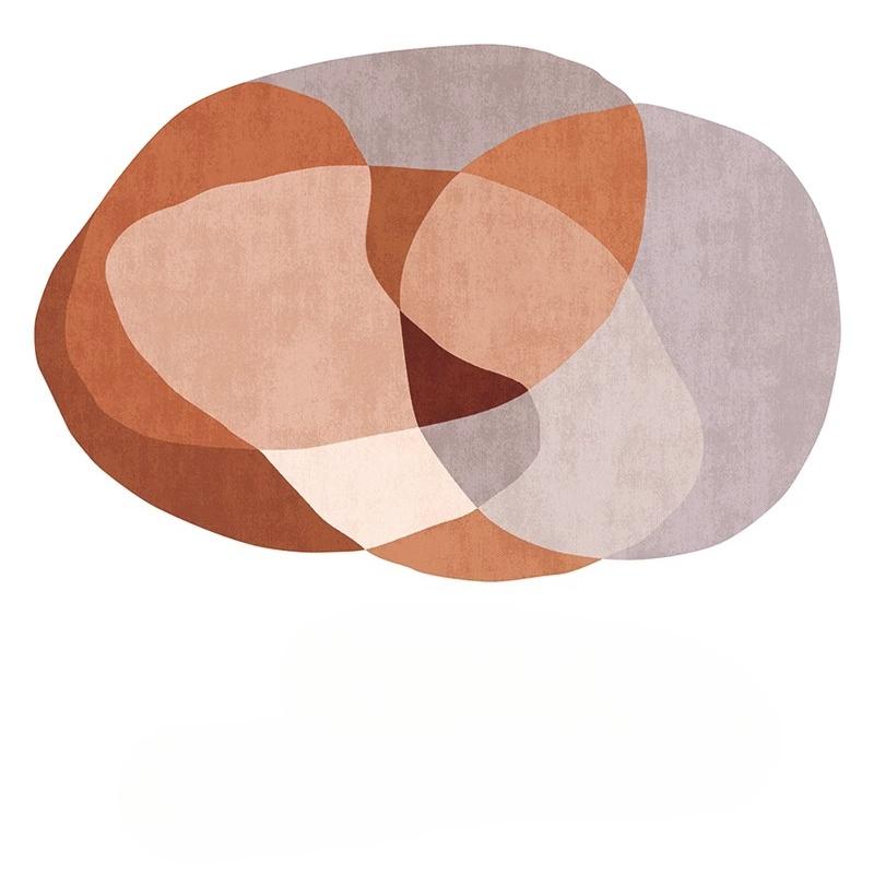 Irregular Shapes Living Room Decoration Carpet Nordic Style Rugs for Bedroom Thick Plush Lounge Floor Mat Fluffy Soft Study Rug