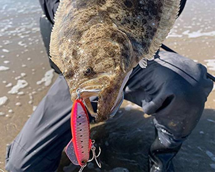 SHIMANO Saltwater Lure Sinking Pencil Netsuna Wing Beam 80HS 013 Kyorin Keimuraiwashi XG-880S