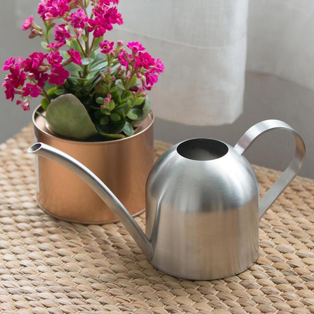 Kaufe 1000 ml Edelstahl-Giekanne fr Zimmerpflanzen, lange ffnung, fr  Blumen, Bonsai, Sukkulenten zum Preis ab 38 | Joom