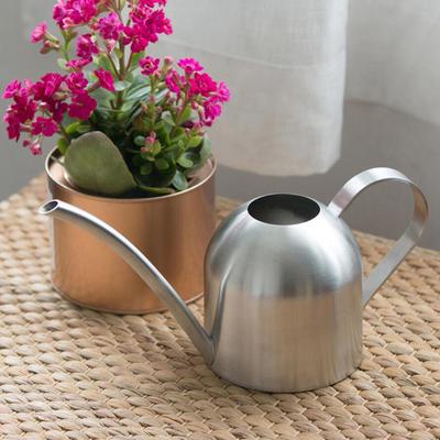 1000ML Stainless Steel Watering Can Indoor Plants Long Mouth Flower Bonsai Succulents Pot