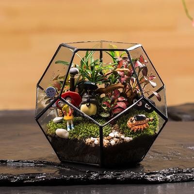 Büro-Tisch-Display, Pflanzgefäß, Sukkulenten, Blumentopf, Blumentopf, Feengarten, Polyeder, Glas, geometrisches Terrarium, Bonsai