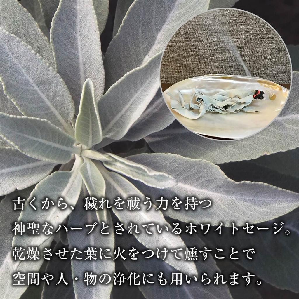 Pestizidfreie Weiße Salbei (Cluster) mit Zweigen, ca. 100g, aus Kalifornien, zur Reinigung und als Räucherwerk