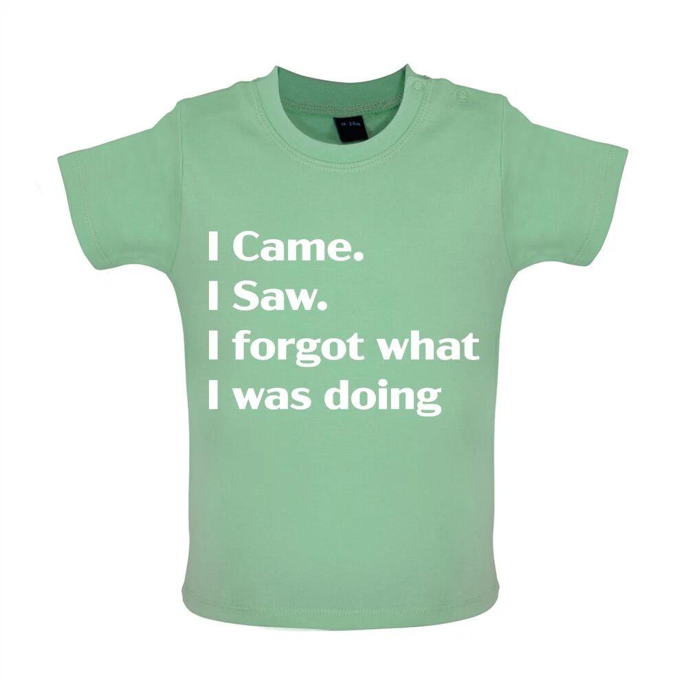 

I Came I Saw I Forgot What I Was Doing - Baby Kids Boys Girls Unisex T-Shirt / Babygrow - Funny Slogan 130