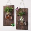Vintage Hydroponic Container Creative Plant Flower Pots Aquarium Wall Mount Glass Vase  Room