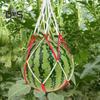 30 stk vannmelon nettingposer Hengekøye Gjenbrukbar melon hengende nettpose Frukthøst espalier hengekøye for vannmelon gresskar cantaloupe