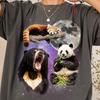Retro Bear Moon Shirt, Vintage Red Panda Sun Bear Tee, Celestial Panda Art, Aesthetic 90 Bear Tshirt, Wild Forest Moonlit Graphic, Bear Gift