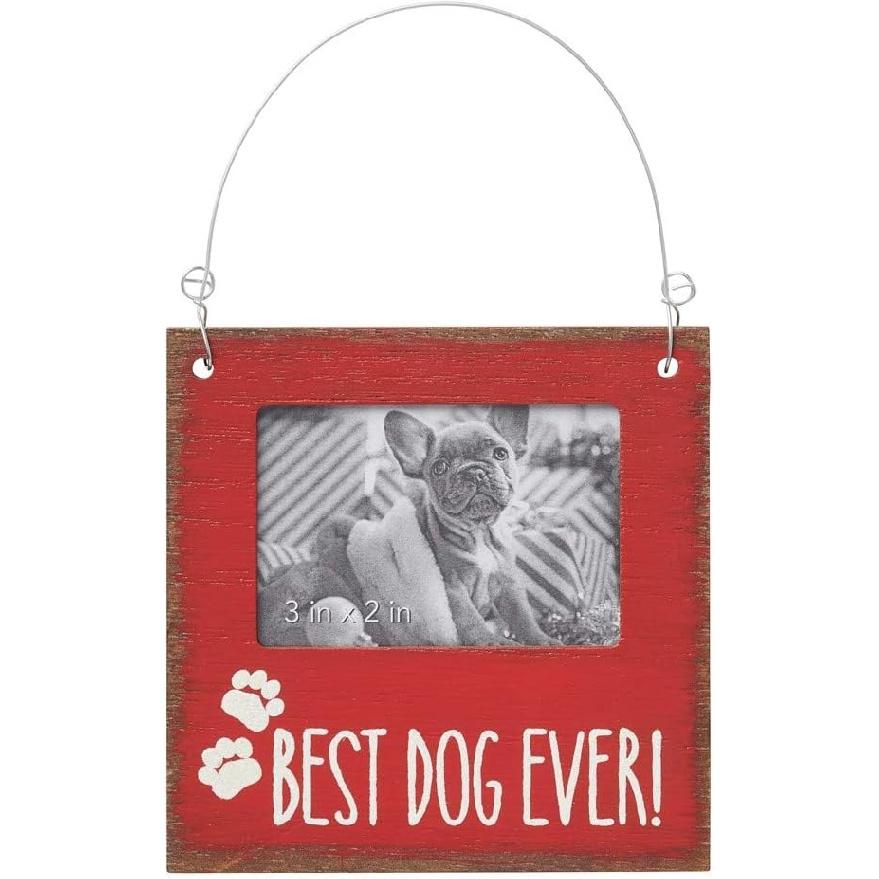 Coll Painting  Best Dog Ever  Picture Frame Ornament - Puppy & Dog Lovers - Pet Appreciation Ornament