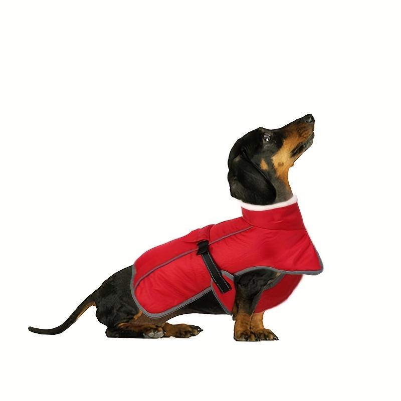 New Arrival Winter Dog Jacket with Turtleneck, Waterproof Windproof Dog Fleece Vest with Leash Hole, Dog Apparel for Small Medium Dogs
