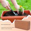 Fibra de Coco Orgânica Fibra de Coco Para Plantas Vasos Suprimentos Para Flores Paisagismo Vegetais Jardinagem Interna Externa Começando