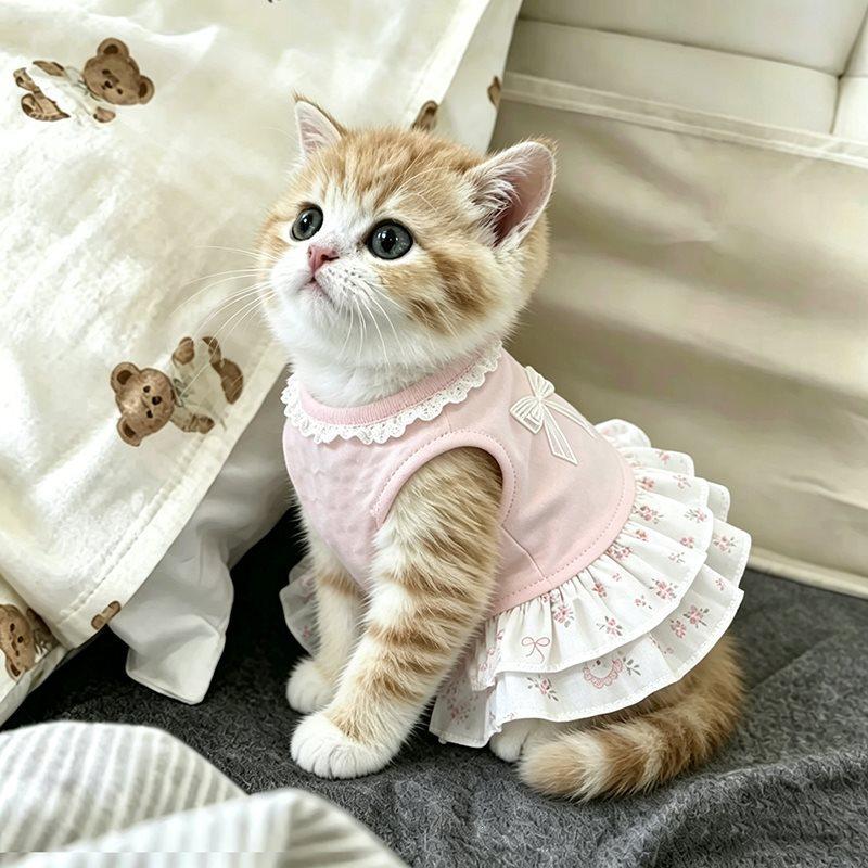 Abbigliamento per animali domestici per la primavera e l'estate, gilet traspirante e fresco, vestito per cani e gatti, abbigliamento per cani Teddy Bichon Pomerania