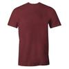 Harry Potter Mens Gryffindor T-Shirt