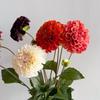 Artificial Moisturizing 2Head Dahlia Real Touch Flowers Bridal Bouquet Wedding Decoration Party Floral Home Decor Dahlia