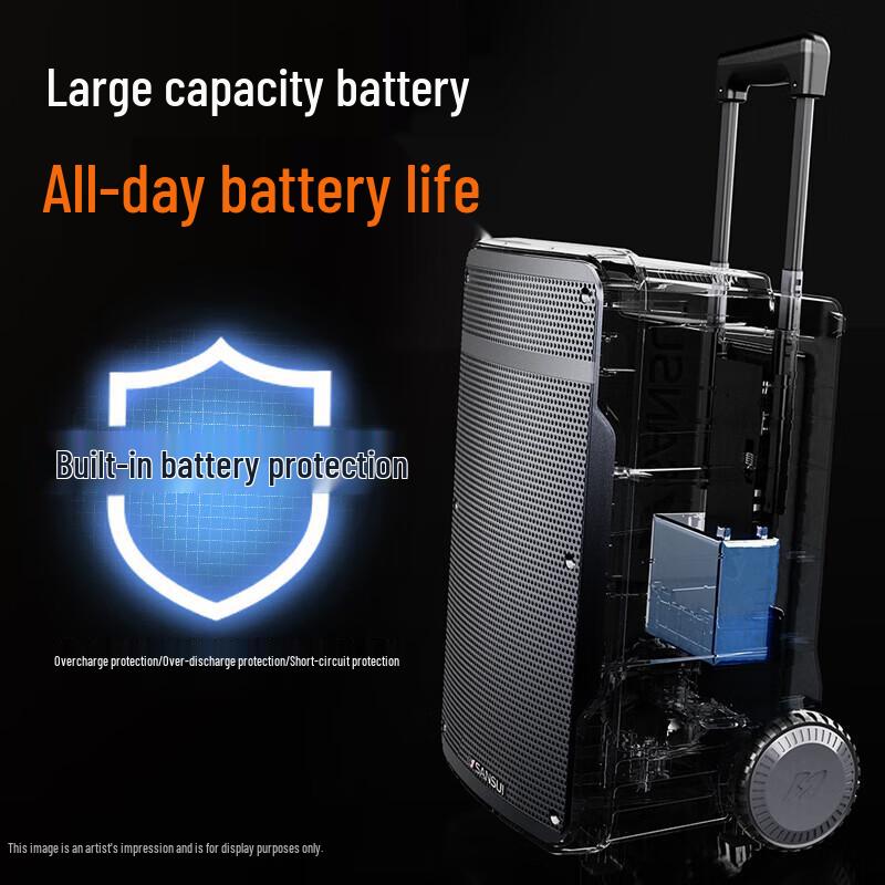 SANSUI A12 Portable KTV Trolley Speaker with Dual Wireless Microphones CN plug (adapter included)