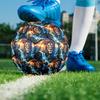 1pc Lions Majesty Theme Soccer Ball Football, Size 5, Lightweight PVC, Durable Outdoor Training Soccer Ball, Gift M61411