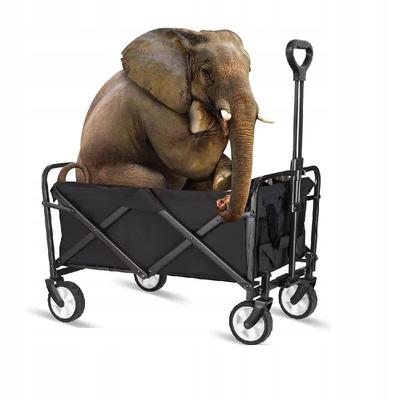 Stroller 5 Inch Wheels Beach Tourist Shopping Transport Xxl Trailer