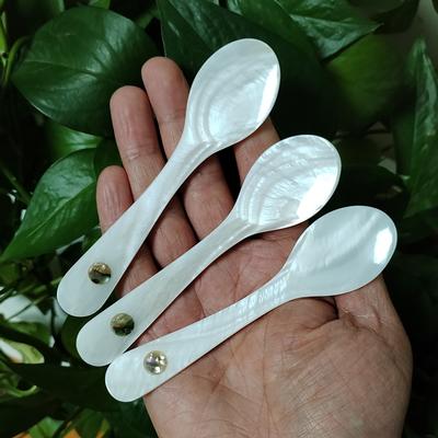 3 PCS Shell Caviar Spoons Mother of Pearl Caviar Spoons Round Handle for Caviar, Egg, Ice Cream, Coffee, Restaurant Serving