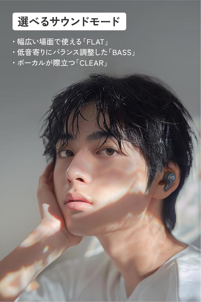 JVC Kenwood Victor Wireless Bluetooth 26 Hours of Noise with Sheer Black HA-A22T-B Earbuds, Ver. 5.4, Playtime, Cancelling, Microphone, Compact,