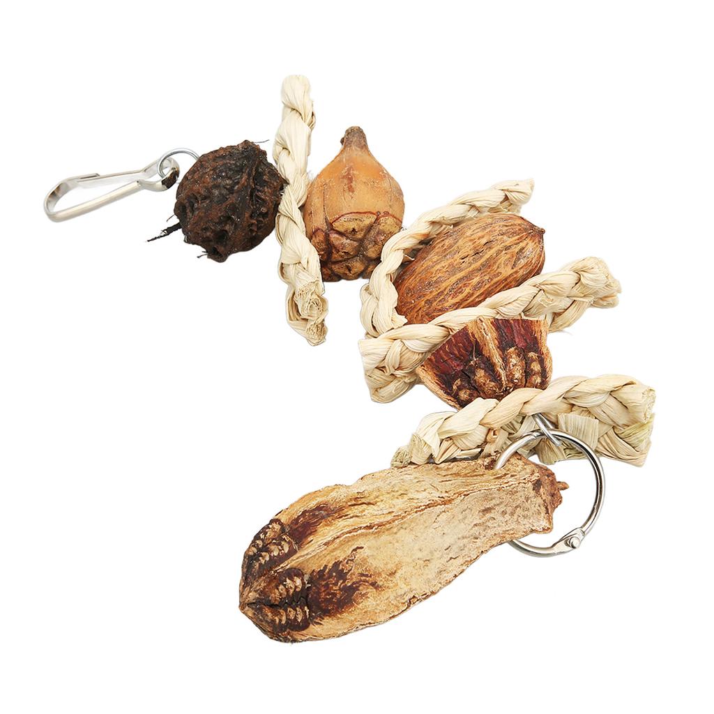 Parrot Chewing Toy Corn Leaves Nut Beak Grinding Hanging Bird Bite Toy for Budgies Parakeet