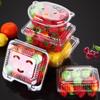 Disposable Fruit Takeaway Containers