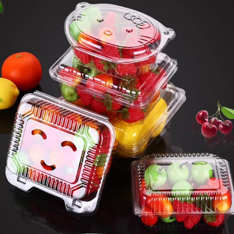 Disposable Fruit Takeaway Containers