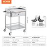 Medical Cart, 2 Layers Stainless Steel Cart 220 lbs Weight Capacity, Lab Utility Cart with 360° Silent Wheels and a Drawer for Lab, Clinic, Kitchen,