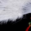 Elegant Stylish Soft Props Party Gifts Decorative Fan Fluffy Fans Party Supplies