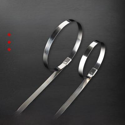 Collier de câble en acier inoxydable 304 de qualité marine - Résistant à l'usure, Métal, 4,6*8*12*100*300mm, Acier blanc.