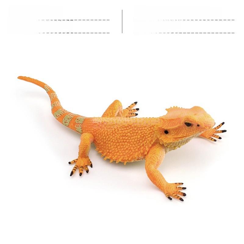 Amphibian Lizard And Reptile Model Pvc Static Figures For Kids Use Educational