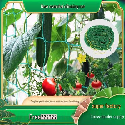 Botanical Garden Climbing Net for Grape, Cucumber, and Bonsai - Reinforced Nylon Trellis for Morning Glory
