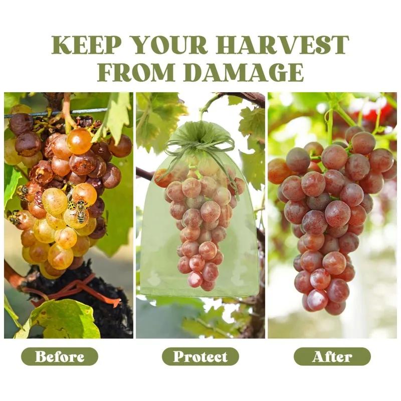 20-100pcs Grapes Fruit Grow Bags Netting Mesh Strawberry Vegetable Plant Protection Bags For Pest Control Anti-Bird Garden Tools
