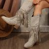 2025 Winter Women Fringes Thick Heel High Boots Suede Pointed Toe Outdoor Fashion Platform Shoes Willow Nails Pumps Women Shoes
