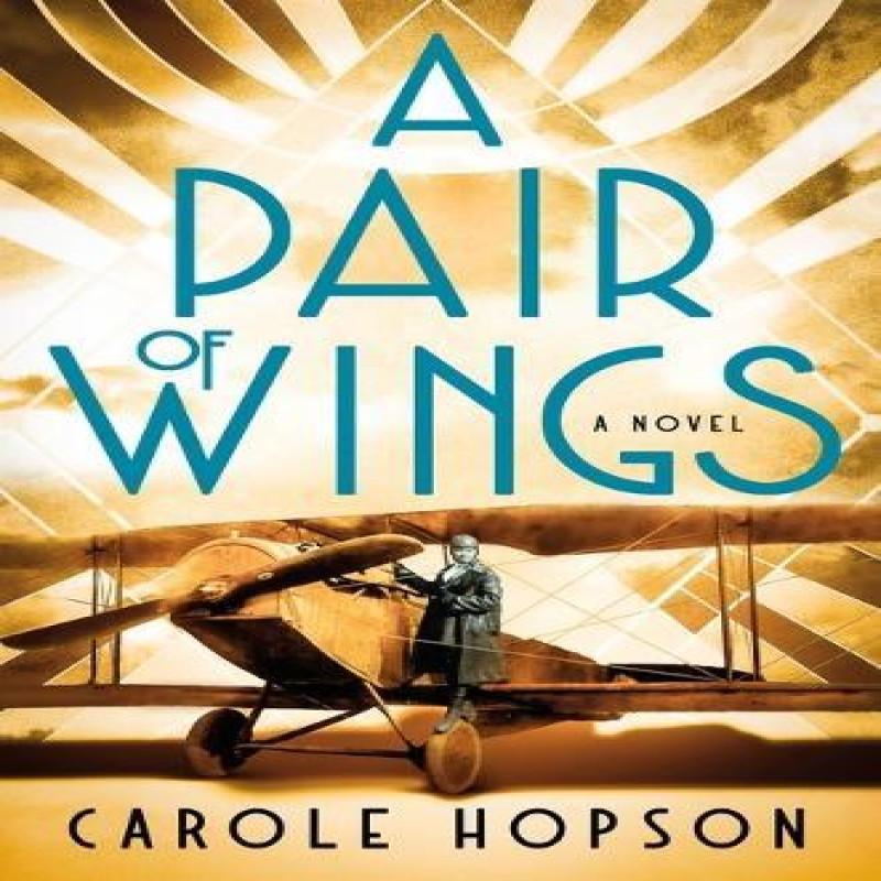 A Pair of Wings by Carole Hopson Hardback Book 9781250347213