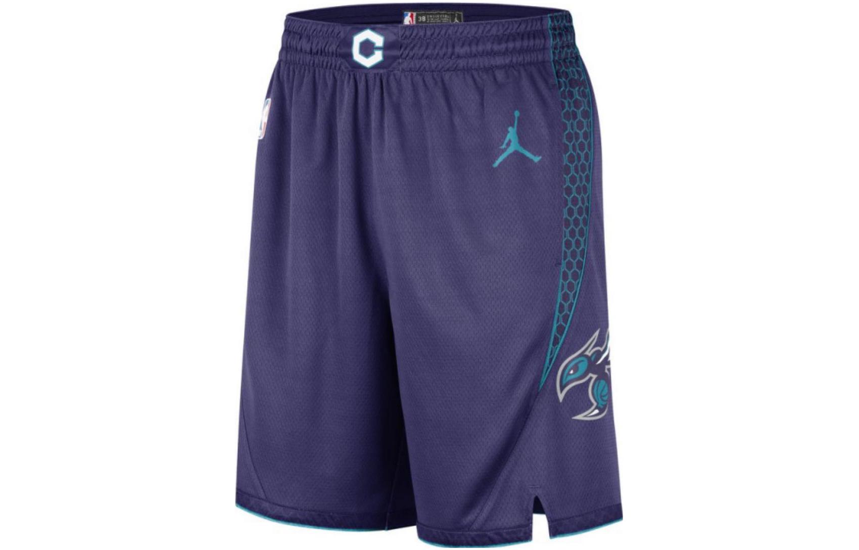 Шорты Jordan Charlotte Hornets Statement Edition DO9425-566 L
