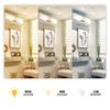 Spotlight 6W 3TM for SLIM TRACK and FiberFLEX Tracks 24VDC 3CCT 3000K, 4000K, 6000K