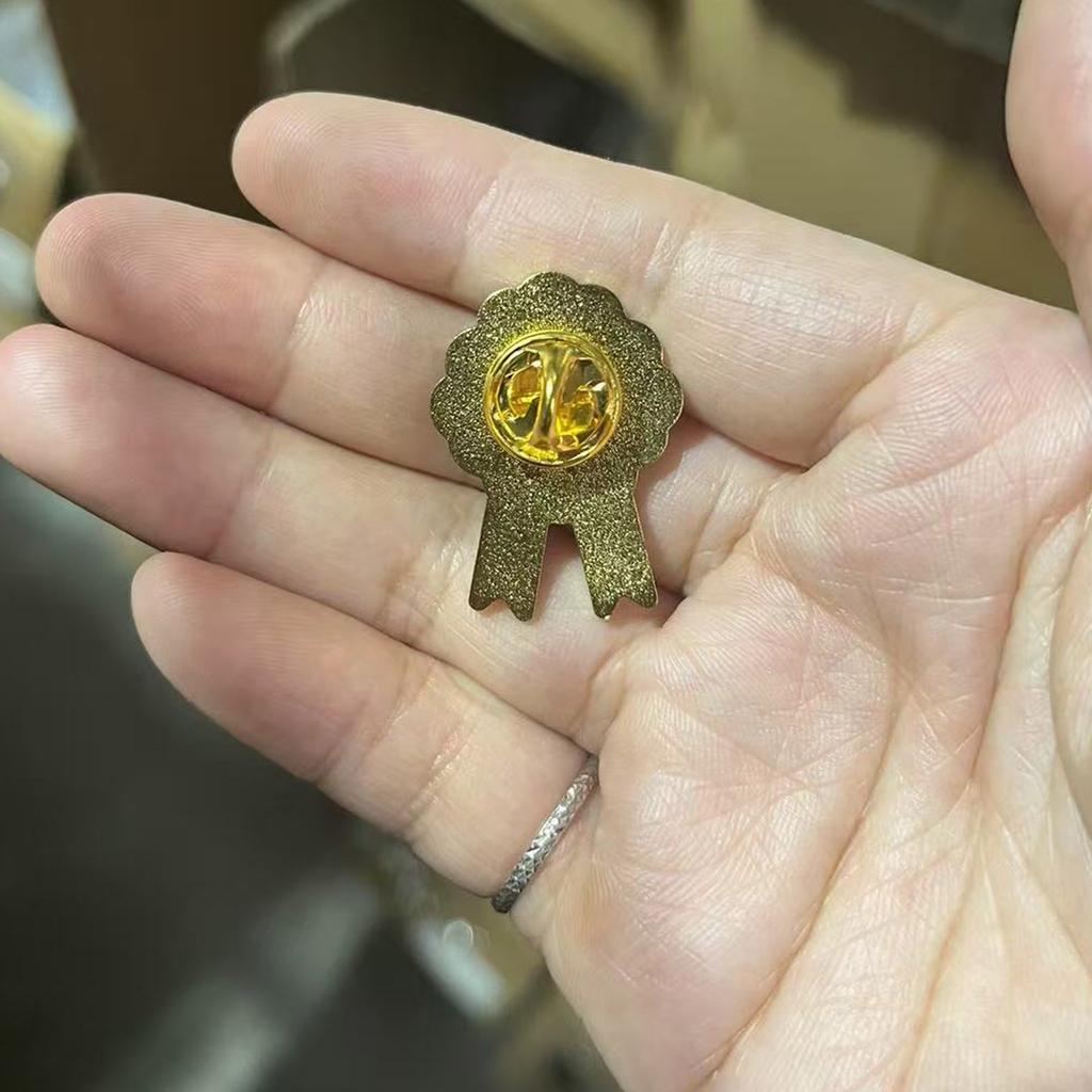 Motivational Recognition Pins Employee Appreciation Student Awards Teacher Classroom Graduation Gifts Alloy Lapel Badges