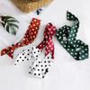 Fashion Dot Ribbon Silk Scarf Women Thin Neck Scarves Lady Small Shawls Narrow Female Neckerchief Dress Accessories