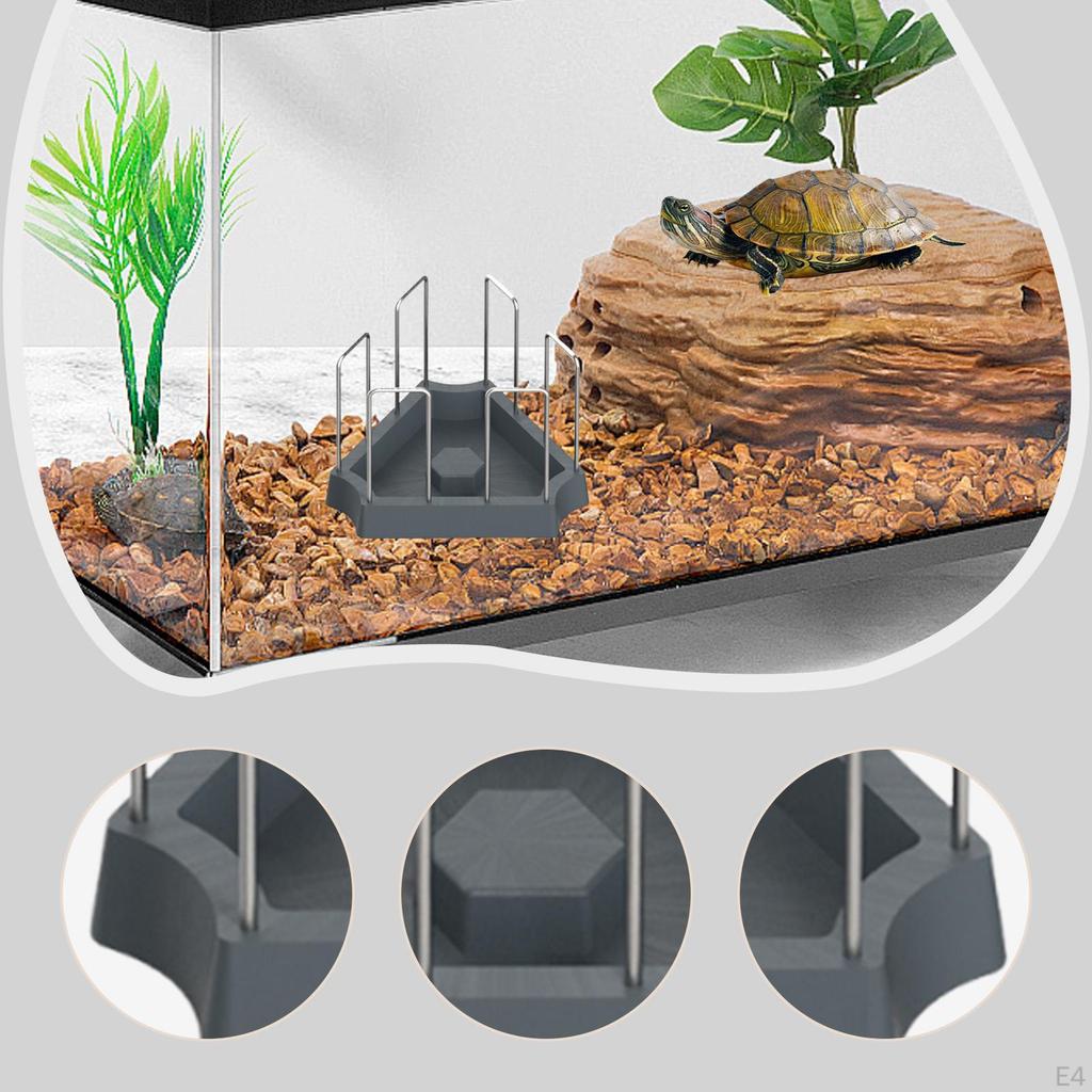 Futternapf, Trinkschale, Wassernapf für Schildkrötenbecken, Futternapf für semi-aquatische Schildkröten