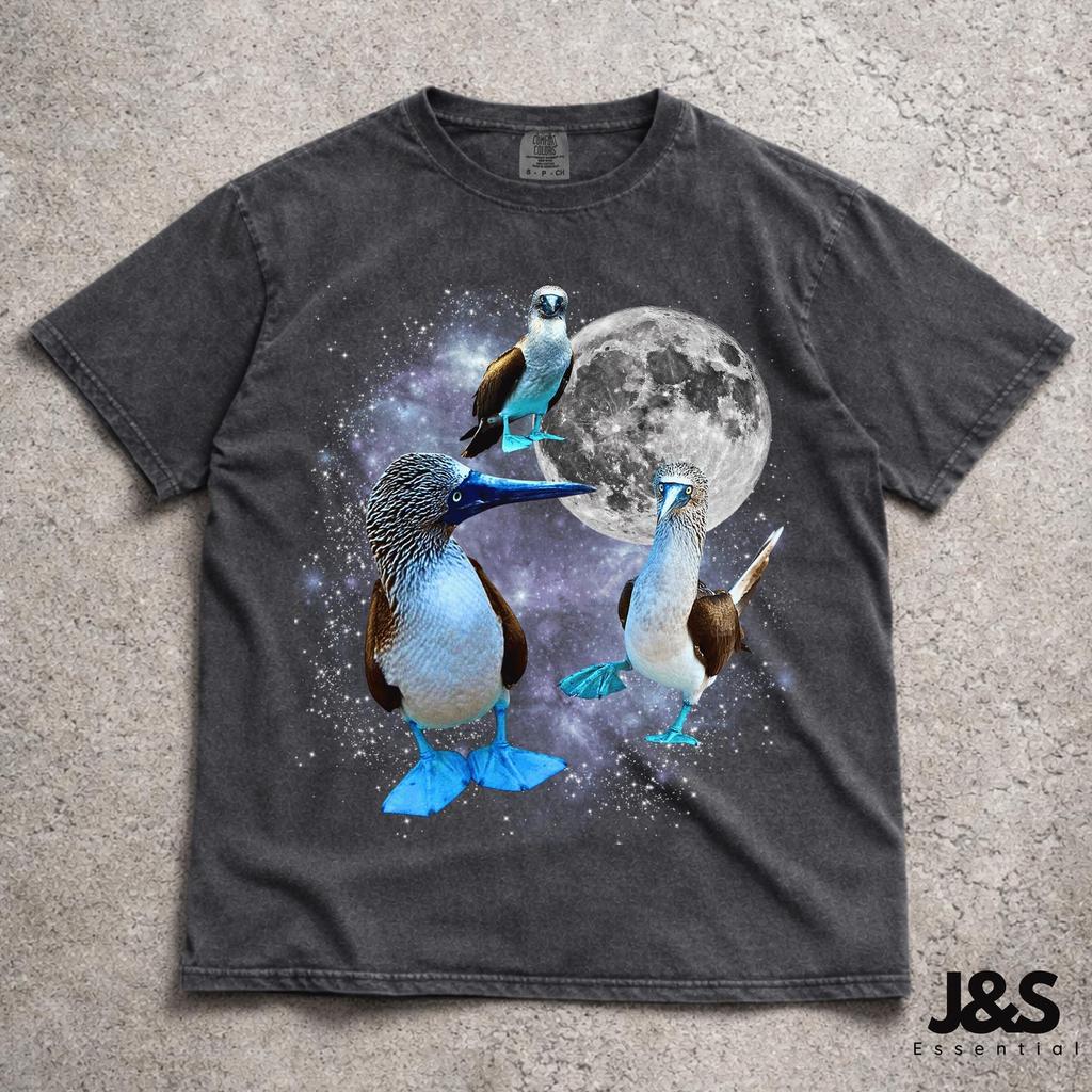 Three Blue Footed Booby Retro Graphic T-shirts, Vintage Booby Moon Tshirt, Funny Bird Tee, Oversized Washed Shirt, Silly Gift, Unique Animal