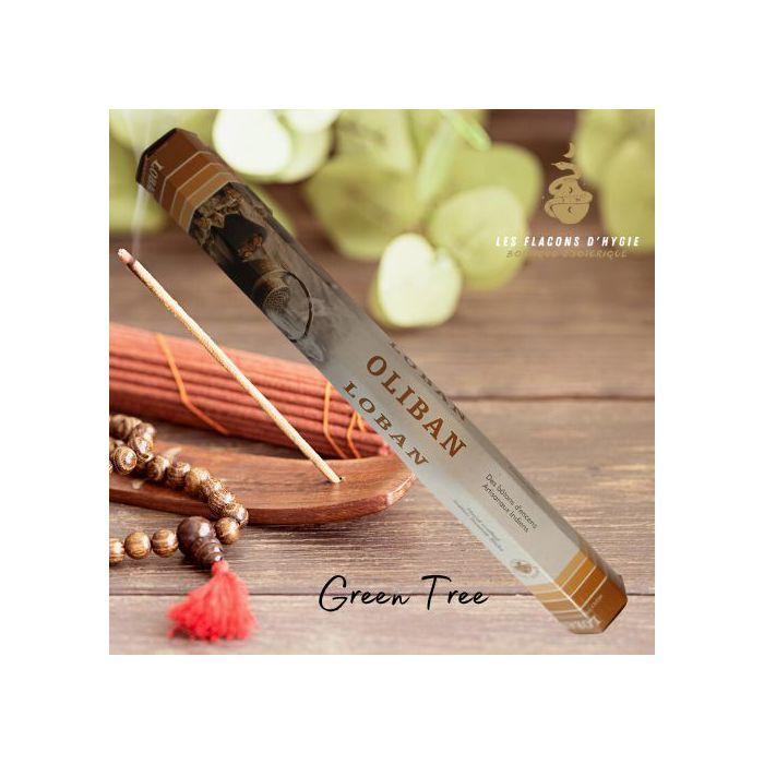 Bougeoir - Photophore - Bougie - Senteur &gt; Encens - Encens Green Tree Loban - - Green Tree