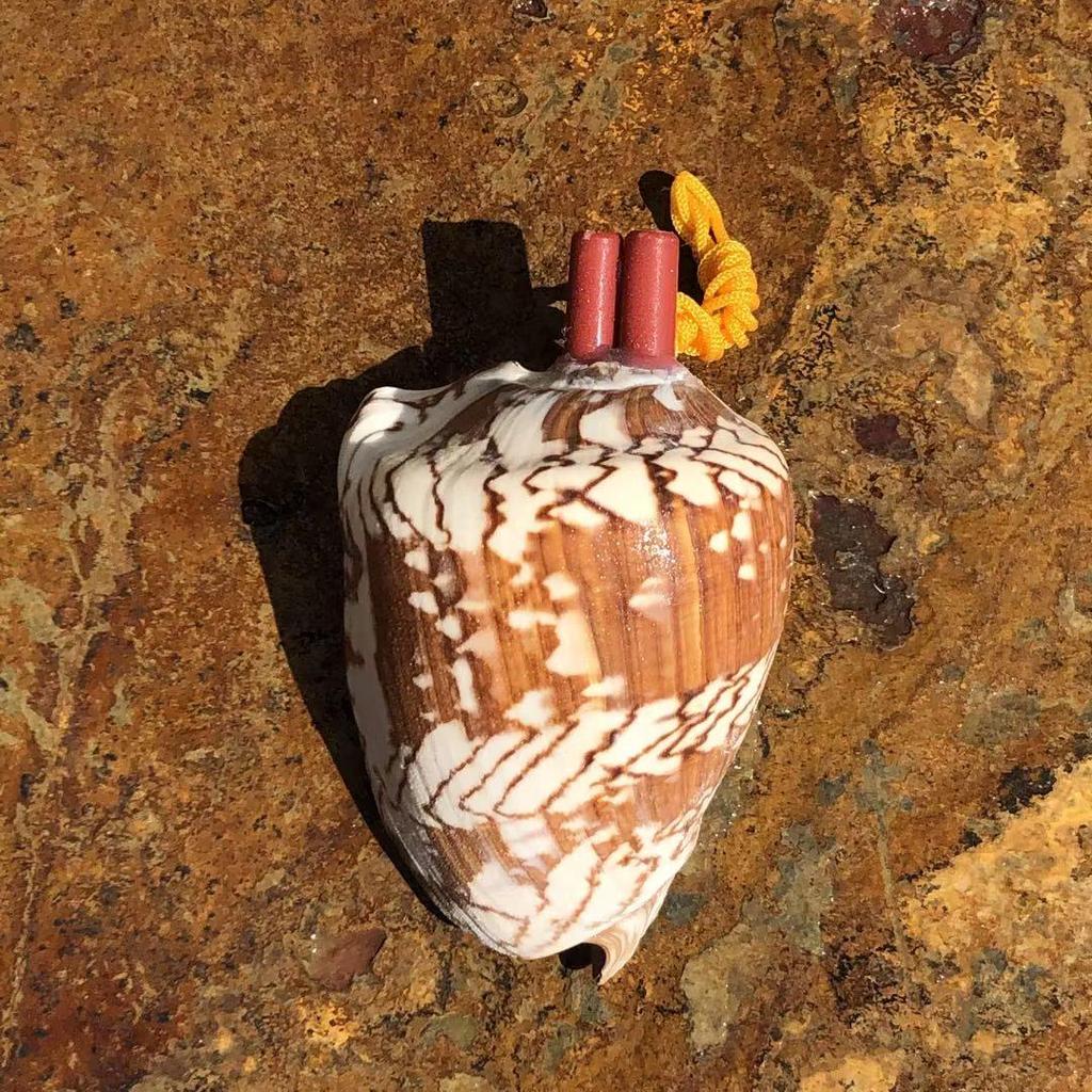 Street Stall Conch Shell Whistles & Toys: Creative Souvenirs