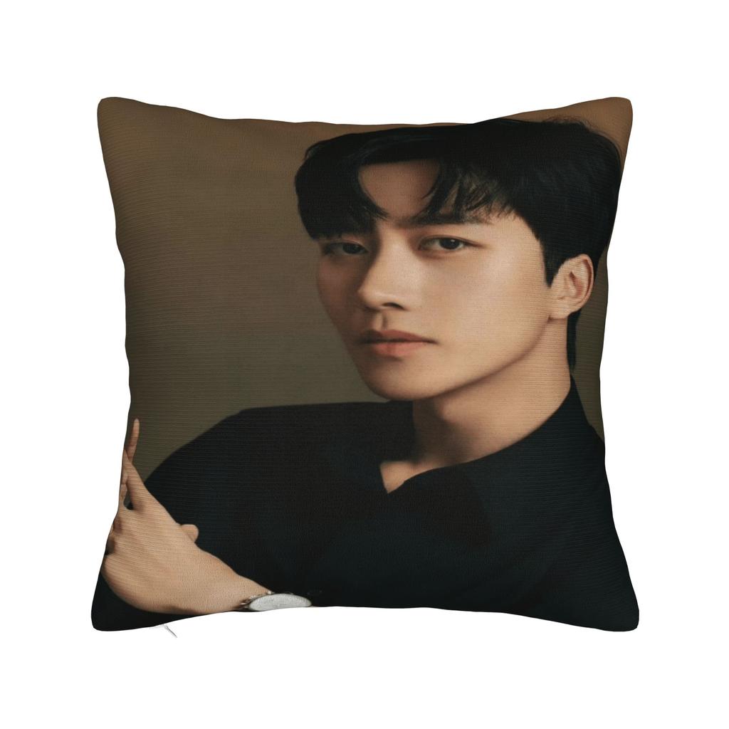Huang Xing Eliot Huang D-Desire Pillow Case Comfy Pillow Cover For Office Car Home Decor Cute Funny Cushion Cover